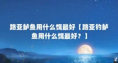路亚鲈鱼用什么饵最好【路亚钓鲈鱼用什么饵最好？】