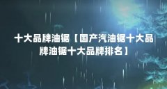 十大品牌油锯【国产汽油锯十大品牌油锯十大品牌排名】