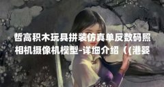 哲高积木玩具拼装仿真单反数码照相机摄像机模型-详细介绍（(港婴宝 儿童智能