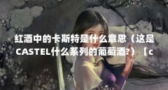 红酒中的卡斯特是什么意思(这是CASTEL什么系列的葡萄酒?)【castel红酒价格查