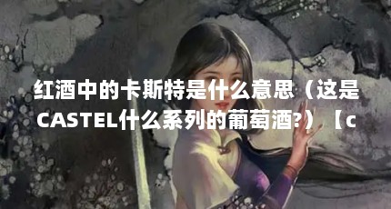 红酒中的卡斯特是什么意思（这是CASTEL什么系列的葡萄酒?）【castel红酒价格查询】