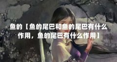 鱼的【鱼的尾巴和鱼的尾巴有什么作用,鱼的尾巴有什么作用】