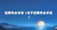 街舞专业术语【关于街舞专业术语】