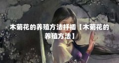 木菊花的养殖方法扦插【木菊花的养殖方法】