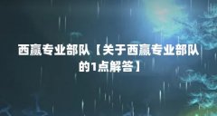 西赢专业部队【关于西赢专业部队的1点解答】