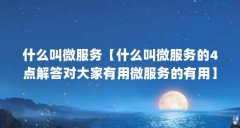 什么叫微服务【什么叫微服务的4点解答对大家有用微服务的有用】