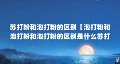 苏打粉和泡打粉的区别【泡打粉和泡打粉和泡打粉的区别是什么苏打粉和泡打粉