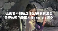 圣诞节不知道送什么?来看看法国最受欢迎的圣诞礼物Top10（哪个航空公司的飞机