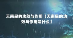 天南星的功效与作用【天南星的功效与作用是什么】