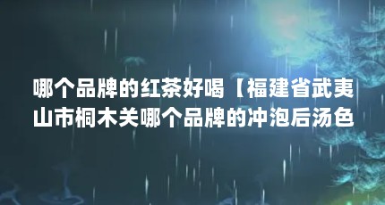 哪个品牌的红茶好喝【福建省武夷山市桐木关哪个品牌的冲泡后汤色红艳金黄色茶毫显著】