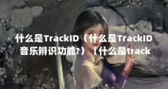 什么是TrackID(什么是TrackID 音乐辨识功能?)【什么是trackid音乐辨识功能是tra