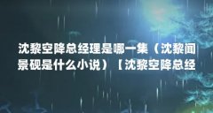 沈黎空降总经理是哪一集(沈黎闻景砚是什么小说)【沈黎空降总经理是哪一集
