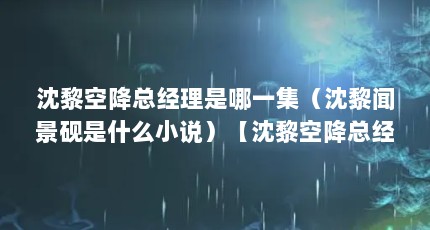 沈黎空降总经理是哪一集（沈黎闻景砚是什么小说）【沈黎空降总经理是哪一集】