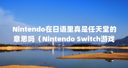 Nintendo在日语里真是任天堂的意思吗（Nintendo Switch游戏卡带区别在哪里?）【nintendoswitch游戏卡带区别】
