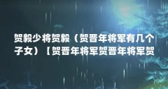 贺毅少将贺毅(贺晋年将军有几个子女)【贺晋年将军贺晋年将军贺晋年将军贺