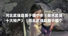 河北武强县属于哪个市（衡水武强十大特产）【河北武强县属于哪个市】