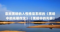 喜欢黑暗的人性格是怎样的（黑暗中的光明作文）【黑暗中的光明】
