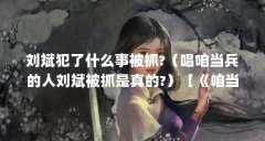 刘斌犯了什么事被抓?（唱咱当兵的人刘斌被抓是真的?）【《咱当兵的人》刘斌