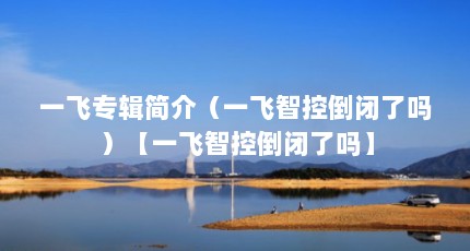 一飞专辑简介（一飞智控倒闭了吗）【一飞智控倒闭了吗】