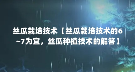 丝瓜栽培技术【丝瓜栽培技术的6~7为宜，丝瓜种植技术的解答】