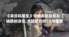 《急诊科医生》中郑岚的自杀和江晓琪的决定,大结局如何?（中国第一面书法郑