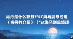 肖丹是什么职务?*ST海马副总经理（肖丹的介绍）【*st海马副总经理肖丹的3点解