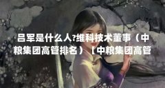 吕军是什么人?维科技术董事(中粮集团高管排名)【中粮集团高管排名:吕军