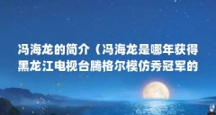冯海龙的简介(冯海龙是哪年获得黑龙江电视台腾格尔模仿秀冠军的?)【关于