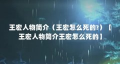 王宏人物简介（王宏怎么死的?）【王宏人物简介王宏怎么死的】