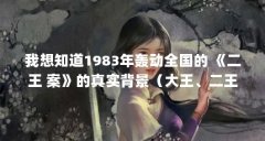 我想知道1983年轰动全国的 《二王 案》的真实背景(大王、二王是谁)【“二王