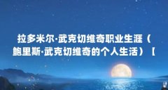 拉多米尔·武克切维奇职业生涯（鲍里