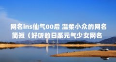 网名ins仙气00后 温柔小众的网名简短（好听的日系元气少女网名 好听又简单的