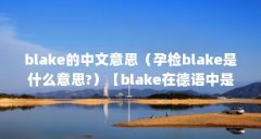 blake的中文意思(孕检blake是什么意思?)【blake在德语中是什么意思】