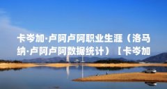 卡岑加·卢阿卢阿职业生涯(洛马纳·卢阿卢阿数据统计)【卡岑加·卢阿卢阿卢
