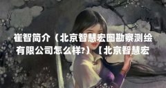 崔智简介（北京智慧宏图勘察测绘有限公司怎么样?）
