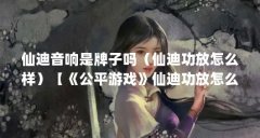 仙迪音响是牌子吗（仙迪功放怎么样）【《公平游戏》仙迪功放怎么样质量好、