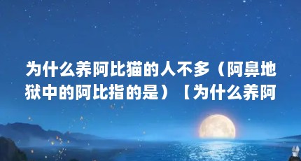 为什么养阿比猫的人不多（阿鼻地狱中的阿比指的是）【为什么养阿比猫的人很少，】