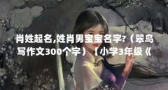 肖姓起名,姓肖男宝宝名字?(翠鸟写作文300个字)【小学3年级《翠鸟》课文作文