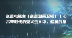 赵晨电视台(赵晨湖南卫视)【《吊带时代的萤火虫》中,赵晨的身份证明了她