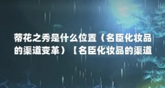 蒂花之秀是什么位置（名臣化妆品的渠道变革）【名臣化妆品的渠道变革】