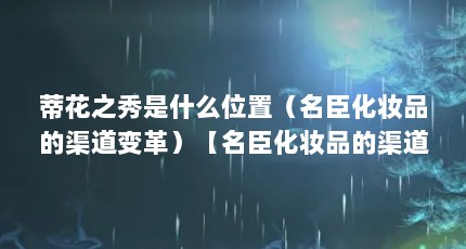 蒂花之秀是什么位置（名臣化妆品的渠道变革）【名臣化妆品的渠道变革】