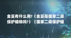 金豆有什么用?(金豆是国家二级保护植物吗?)【国家二级保护植物金豆有什么