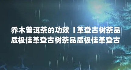 乔木普洱茶的功效【革登古树茶品质极佳革登古树茶品质极佳革登古树茶品质极佳】