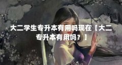 大二学生专升本有用吗现在【大二专