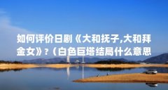 如何评价日剧《大和抚子,大和拜金女》?（白色巨塔结局什么意思）【《大和抚