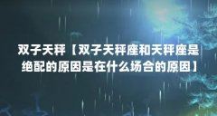 双子天秤【双子天秤座和天秤座是绝配的原因是在什么场合的原因】