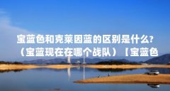 宝蓝色和克莱因蓝的区别是什么?（宝蓝现在在哪个战队）【宝蓝色和克莱因蓝