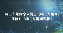 杨二车娜姆个人简历（杨二车娜姆现状）【杨二车娜姆现状】