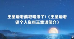 王童语老婆犯啥法了?（王童语老婆个人资料王童语简介）