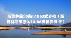 斯普林菲尔德m1863式步枪（斯普林菲尔德0.30-06步枪弹概 述）【斯普林菲尔德0